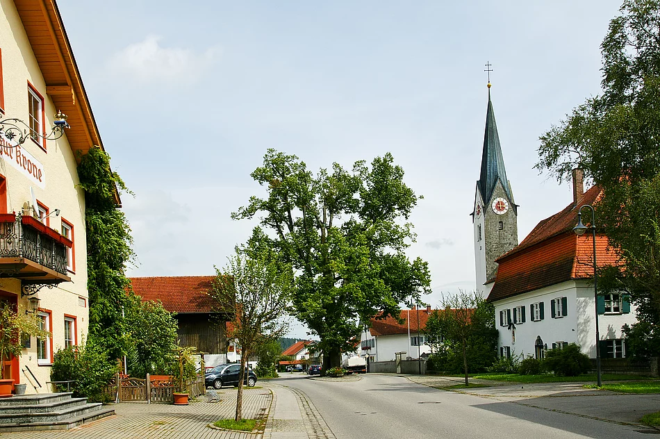 Linde von Aitrang
